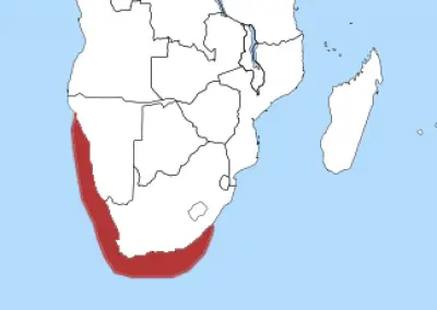 African Penguin habitat map