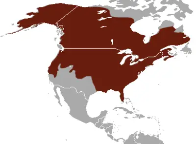 American Mink habitat map