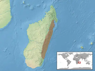 Common flat-tail gecko habitat map