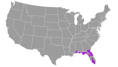 Florida black bear habitat map