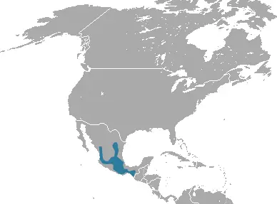 Veracruz shrew habitat map