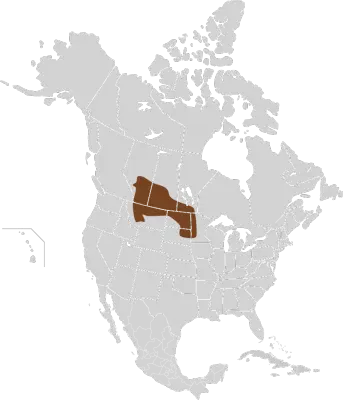 Ardilla de richardson mapa del hábitat