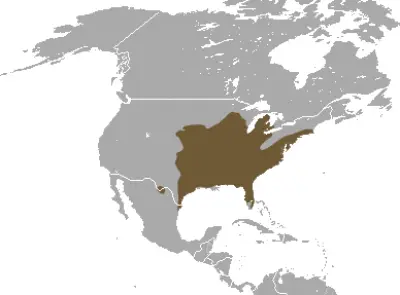 Eastern Mole habitat map