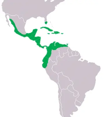 Cocodrilo americano mapa del hábitat