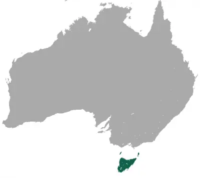 Tasmanian Pademelon habitat map