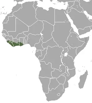 West African pygmy shrew habitat map