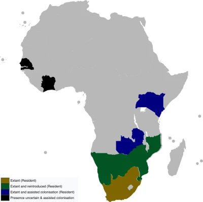 White Rhinoceros habitat map