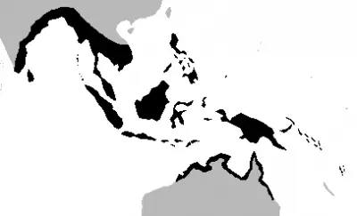 Крокодил гребенястий карта середовища проживання