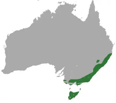 Eastern Pygmy Possum habitat map