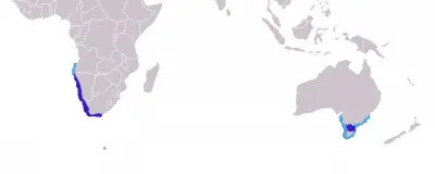 Australian Fur Seal habitat map