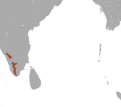 Nilgiri Langur habitat map
