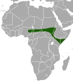 Yankari shrew habitat map