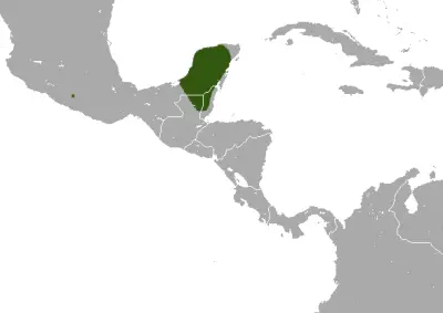 Yucatan small-eared shrew habitat map