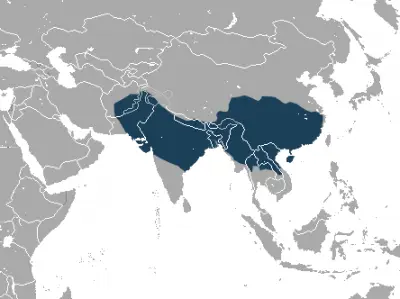 Rhesus Macaque habitat map
