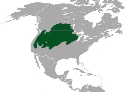 White-Tailed Jackrabbit habitat map