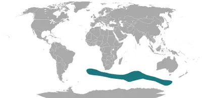 Subantarctic Fur Seal habitat map