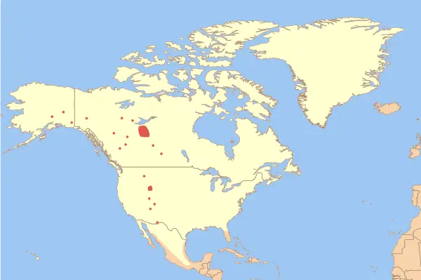 Бізон американський карта середовища проживання