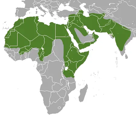 Гієна смугаста карта середовища проживання