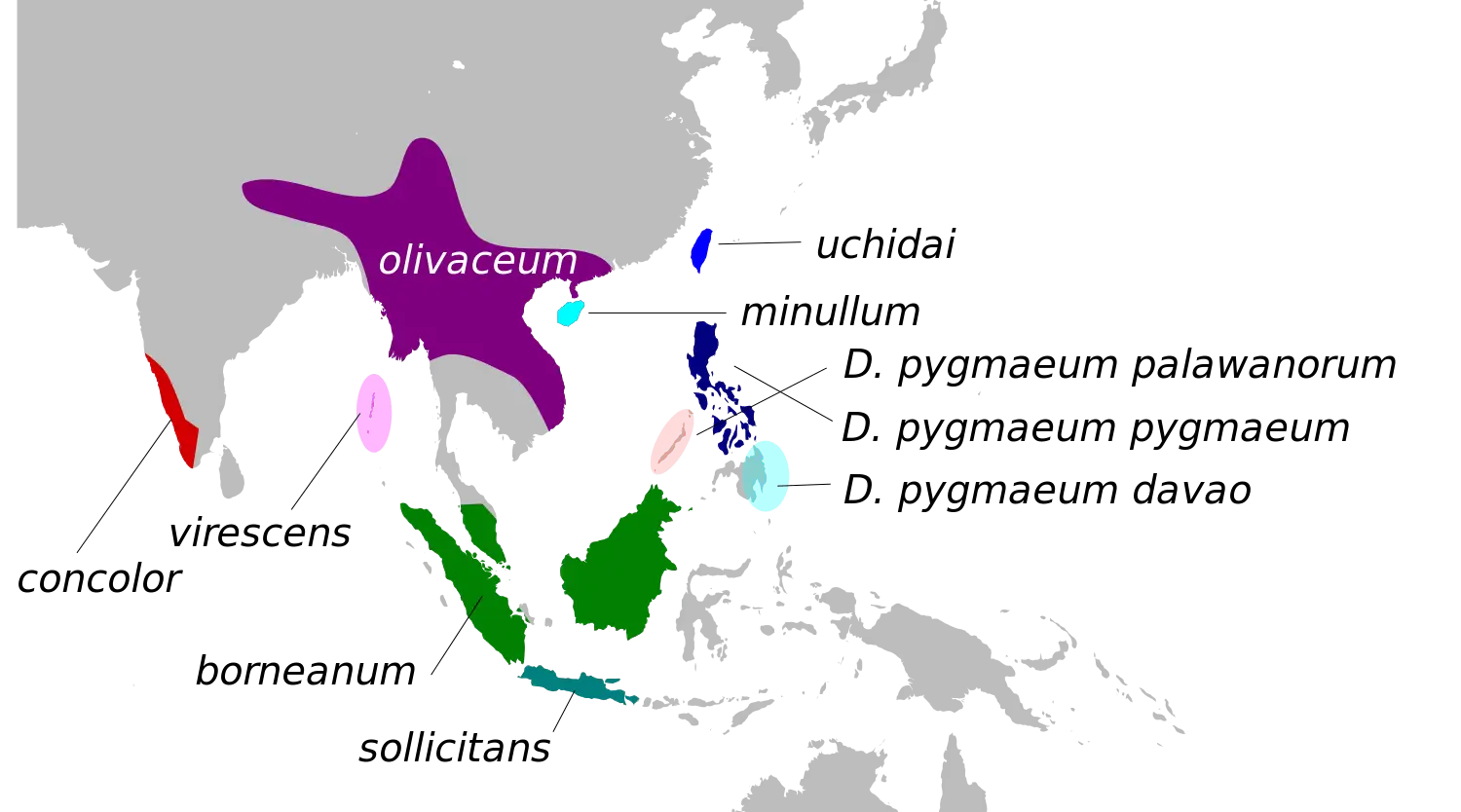 Nilgirimistelfresser Fakten, Ernährung, Lebensraum & Bilder auf