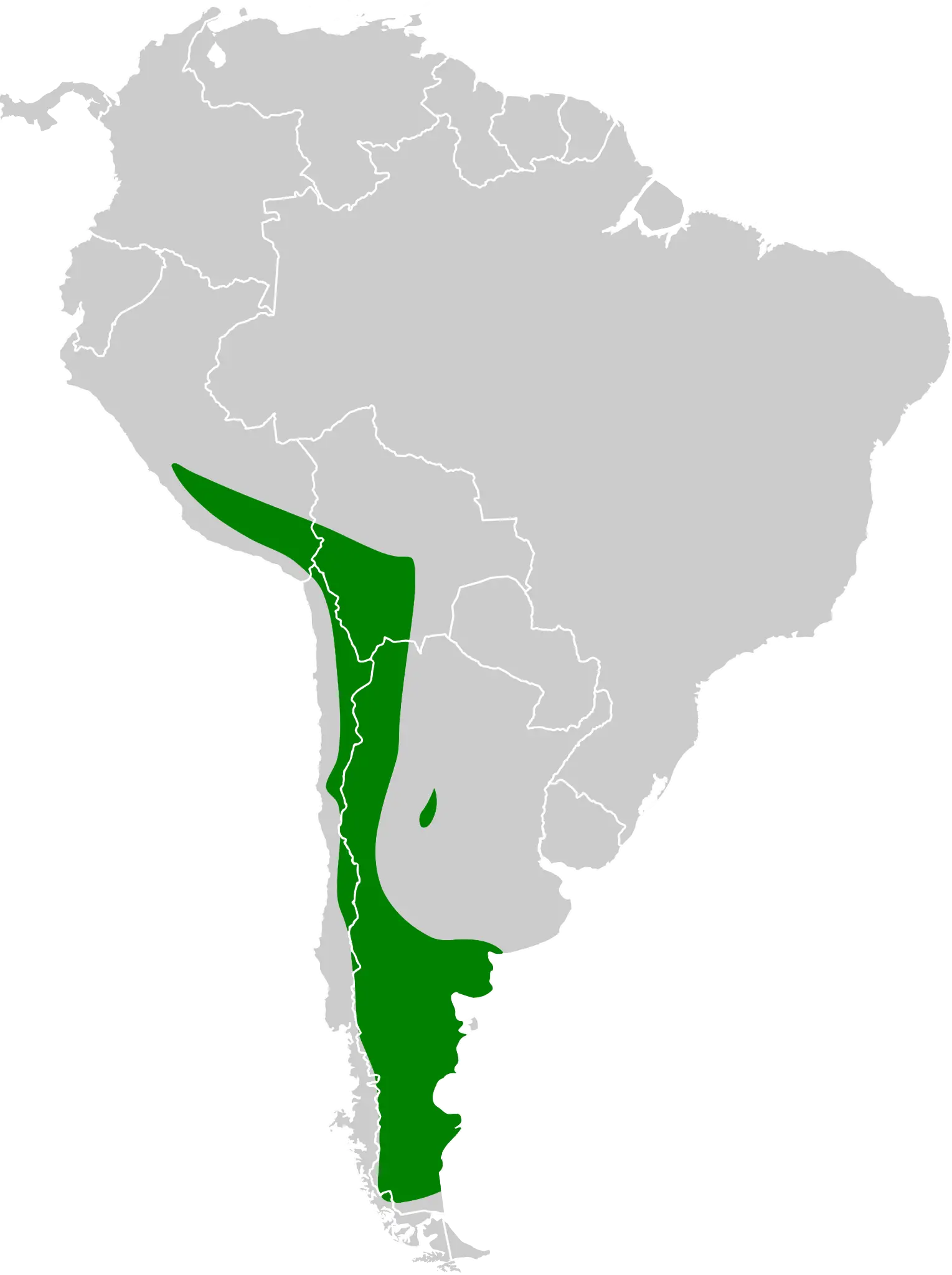 Cordilleran canastero habitat map