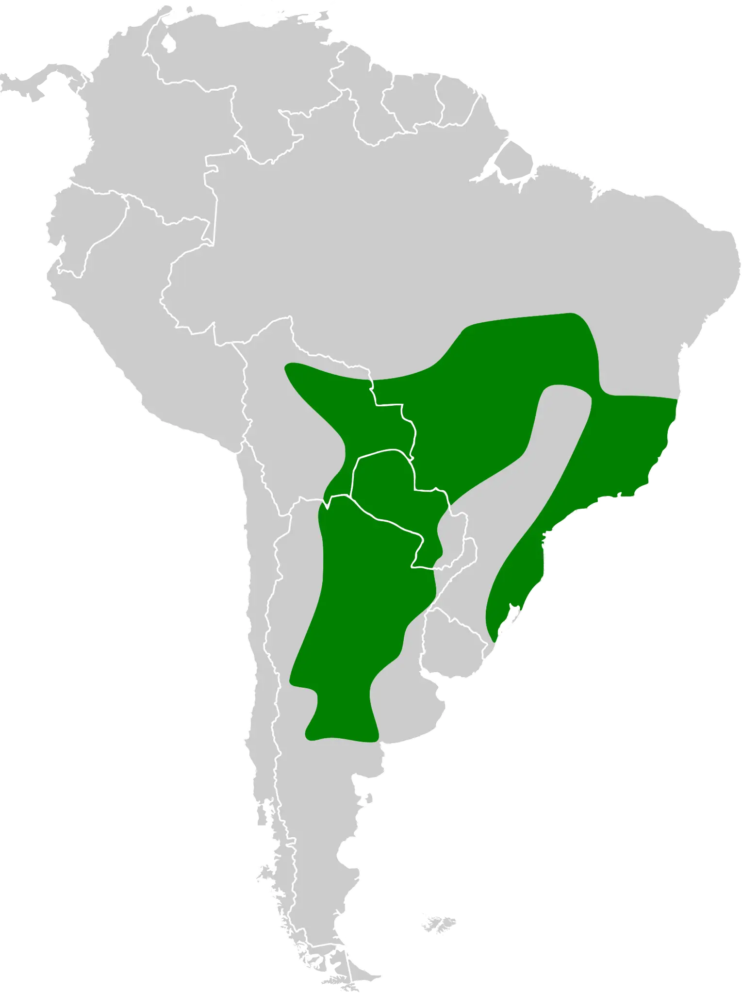 Buteogallus coronatus факти, дієта, ареал і фотографії на Animalia.bio