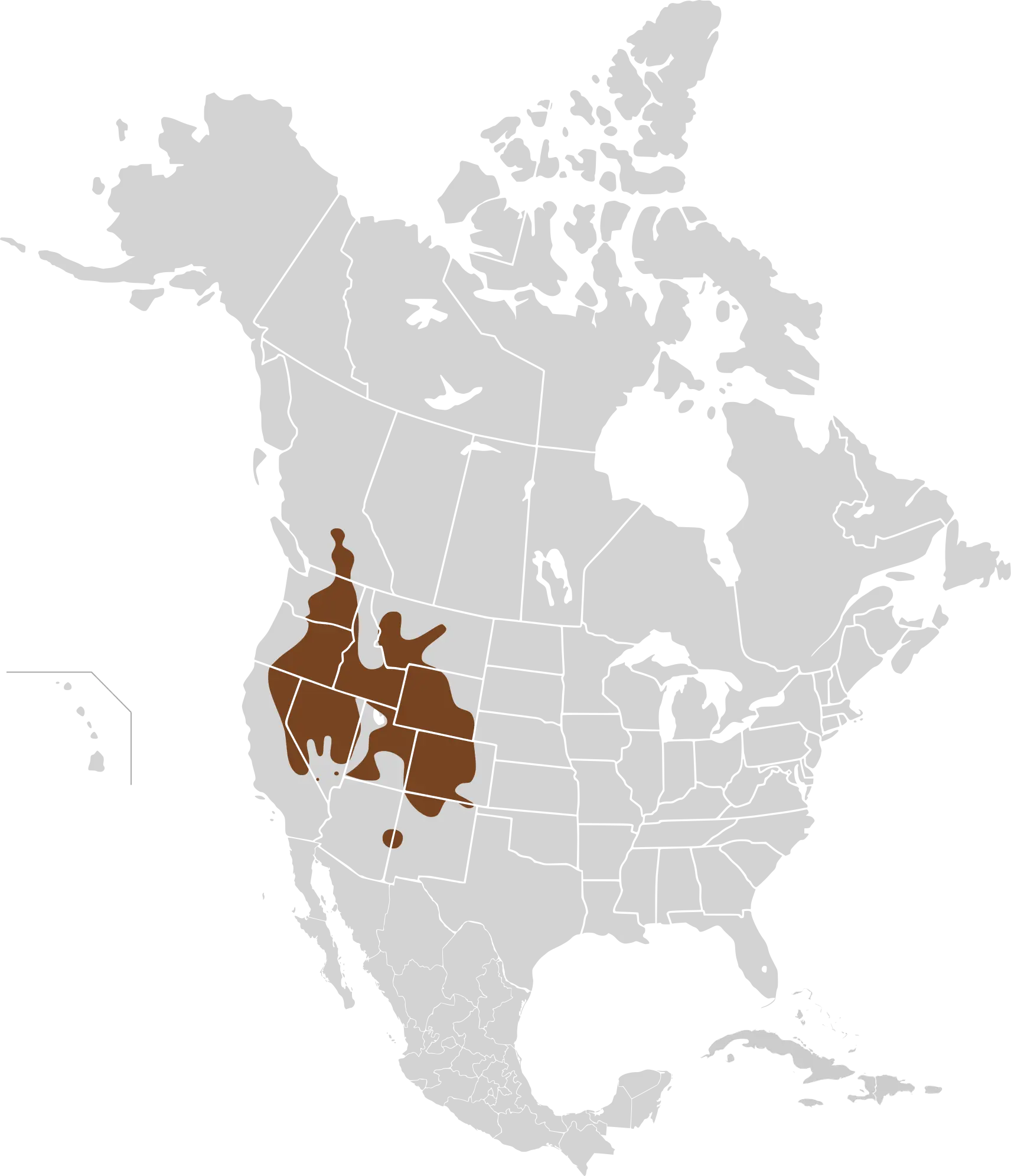 Microtus montanus карта середовища проживання