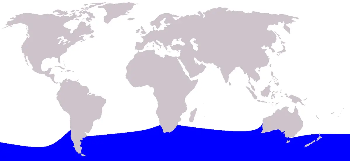Southern Bottlenose Whale habitat map