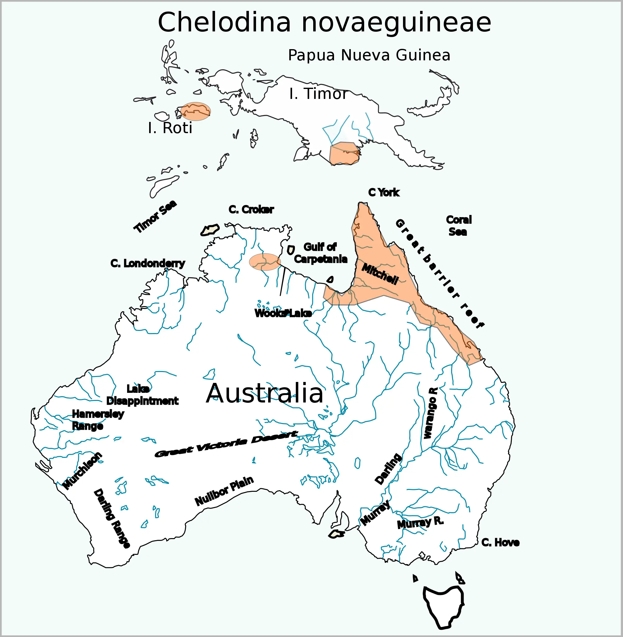 Зміїношия черепаха новогвінейська карта середовища проживання