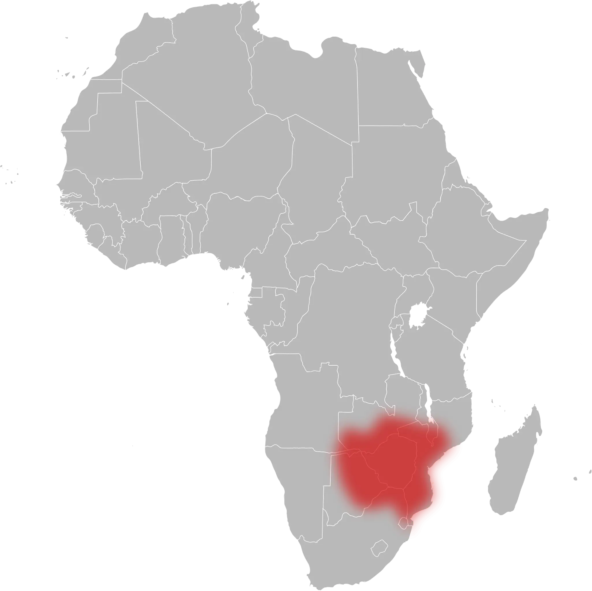 Snouted cobra habitat map