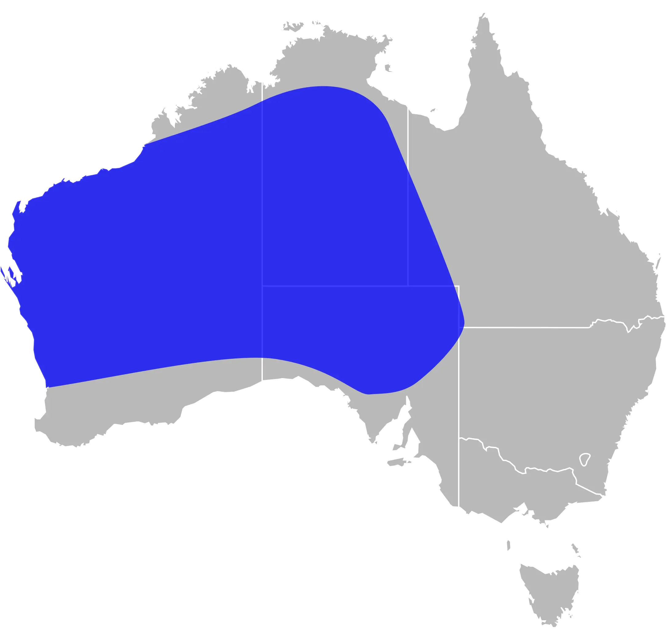 Pygopus nigriceps Fakten, Ernährung, Lebensraum & Bilder auf Animalia.bio