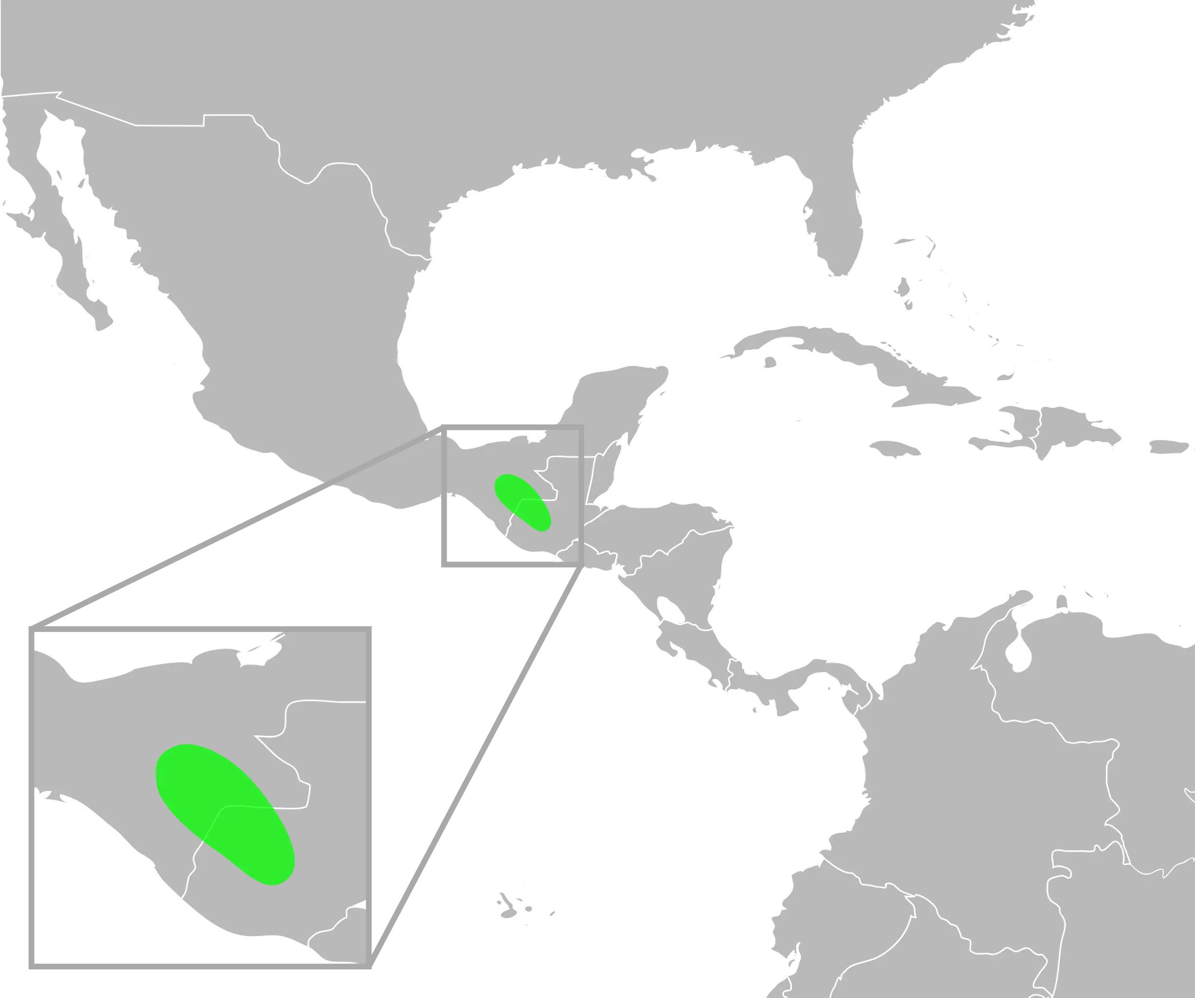 Incilius bocourti habitat map