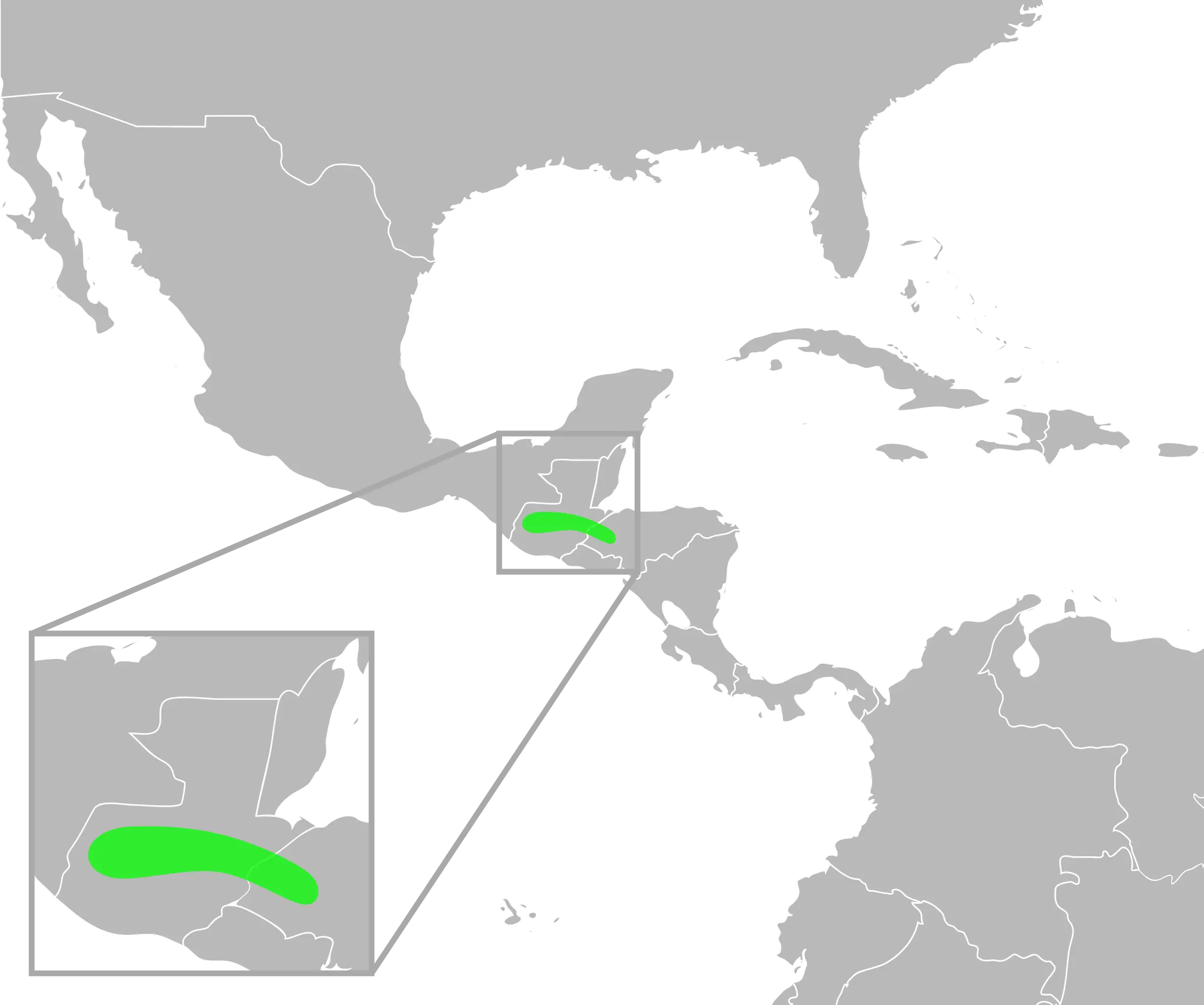 Incilius ibarrai habitat map