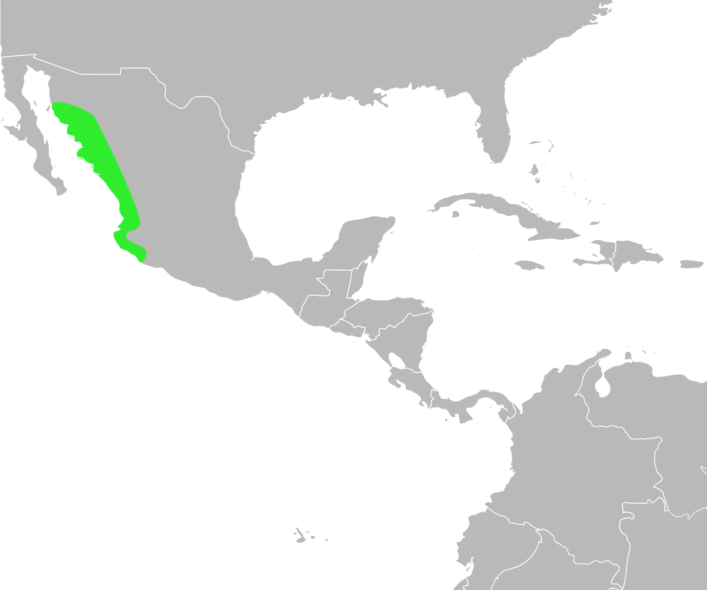 Incilius mazatlanensis habitat map