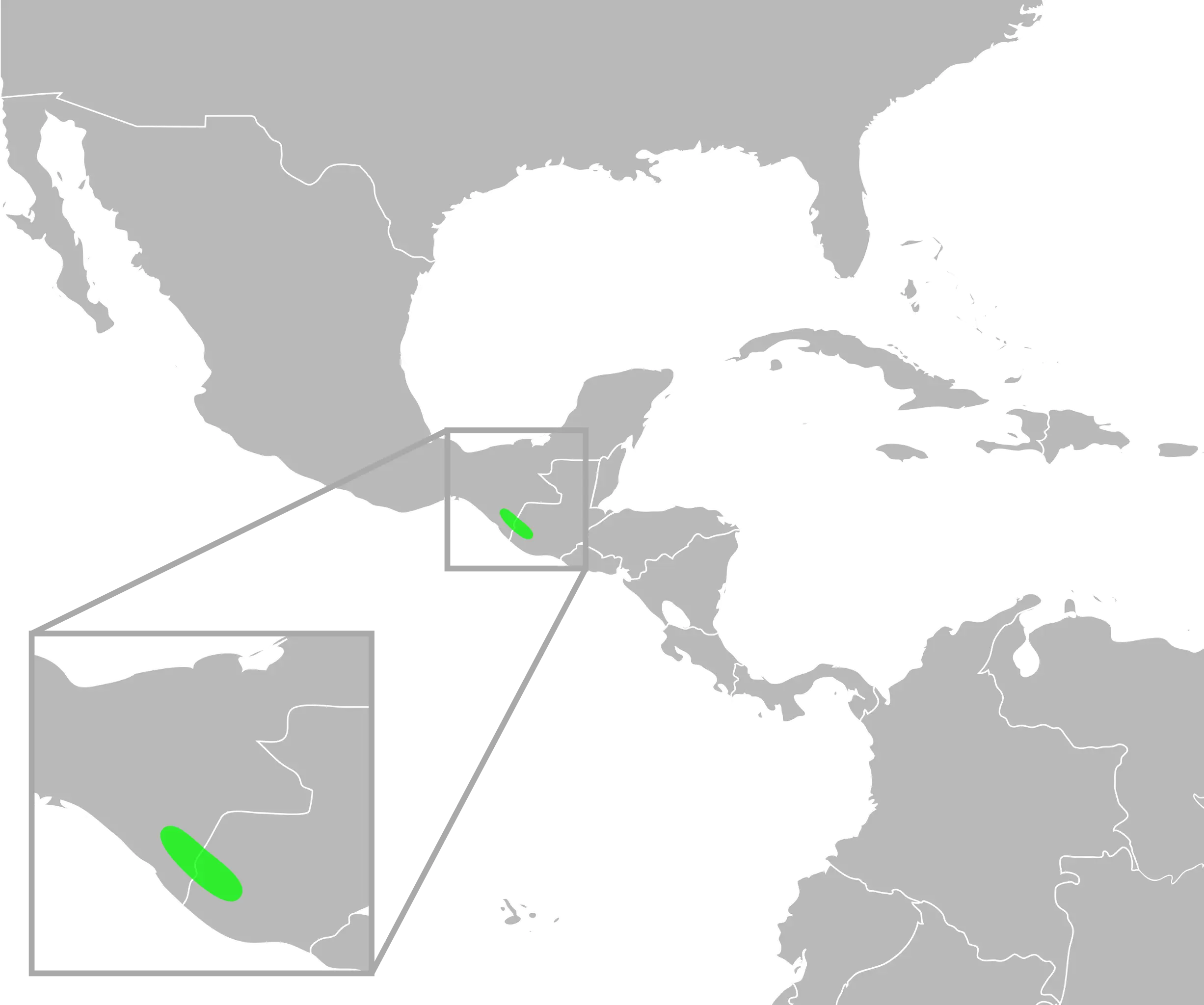 Incilius tacanensis habitat map