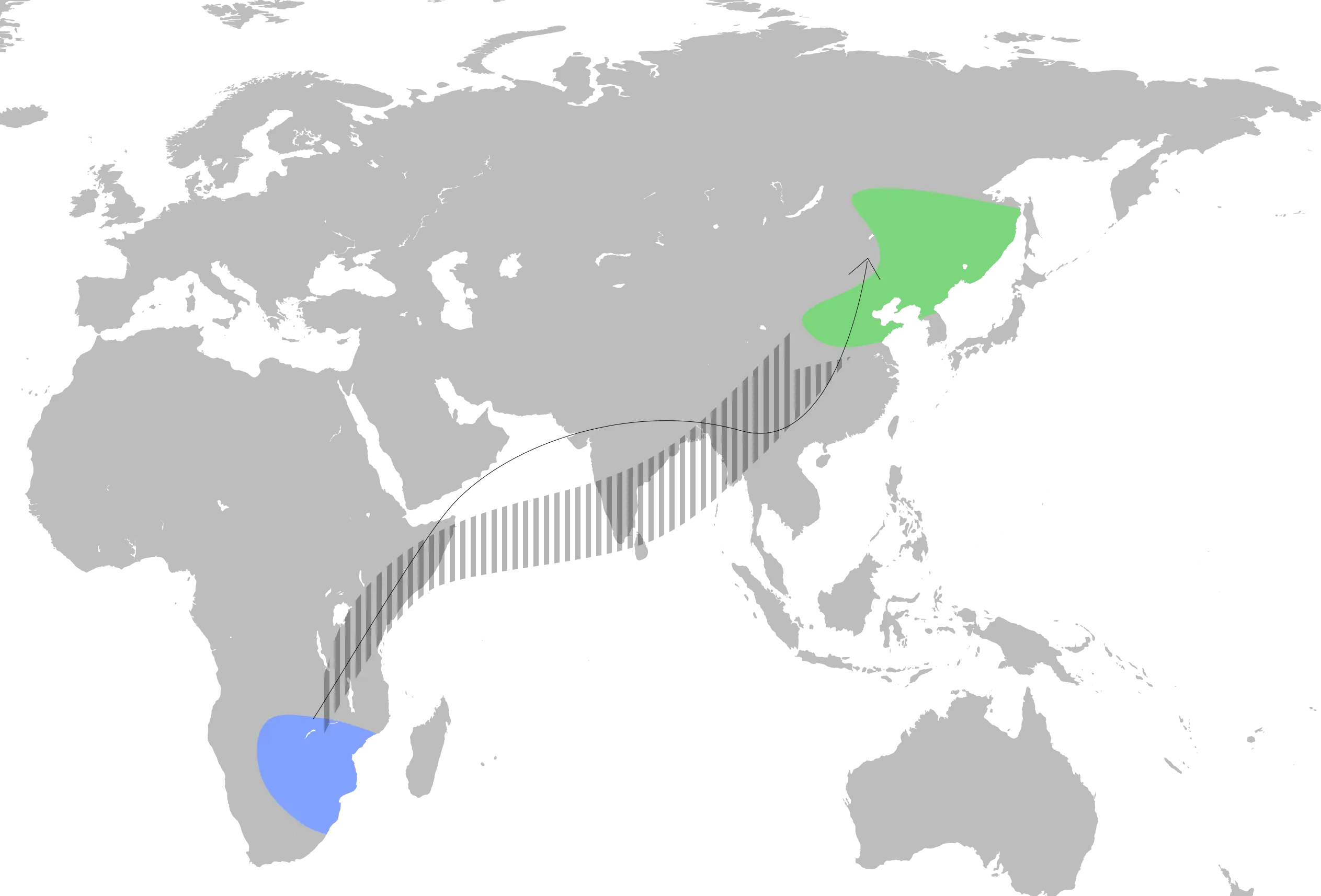 Amur falcon habitat map