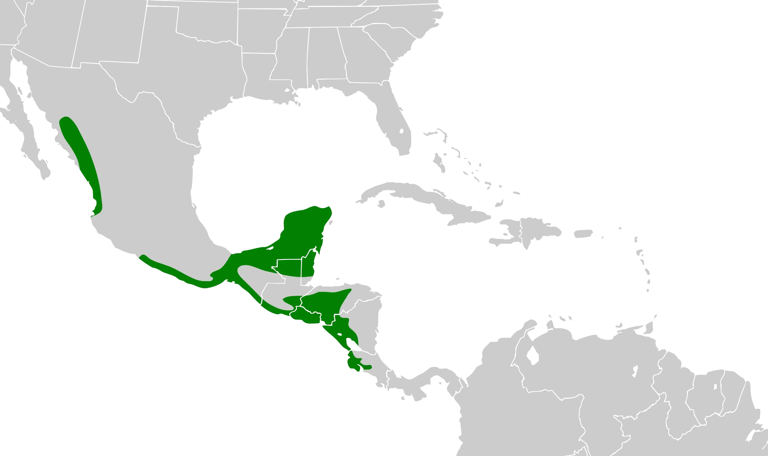 Амазон білолобий карта середовища проживання