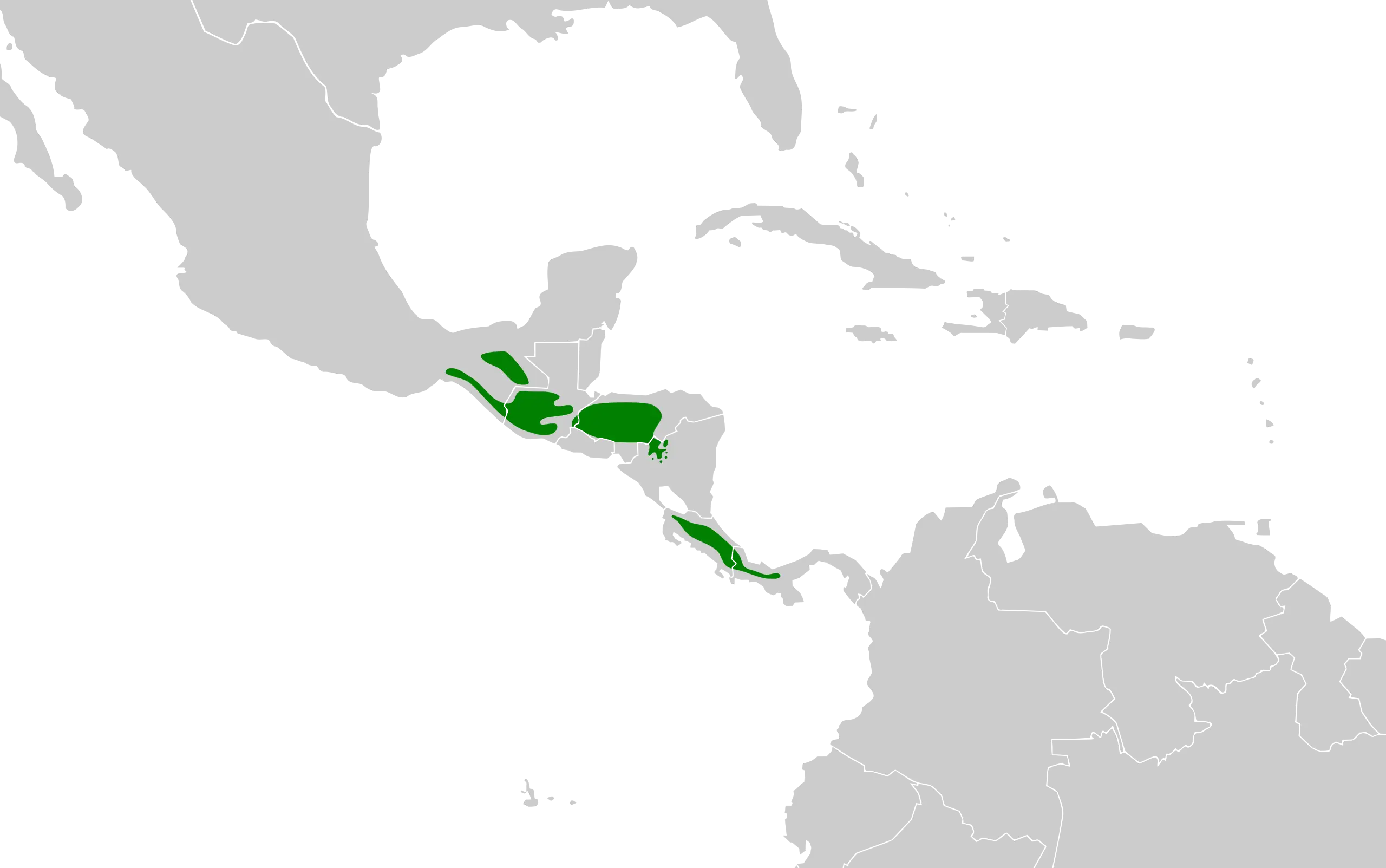 Yellowish flycatcher habitat map