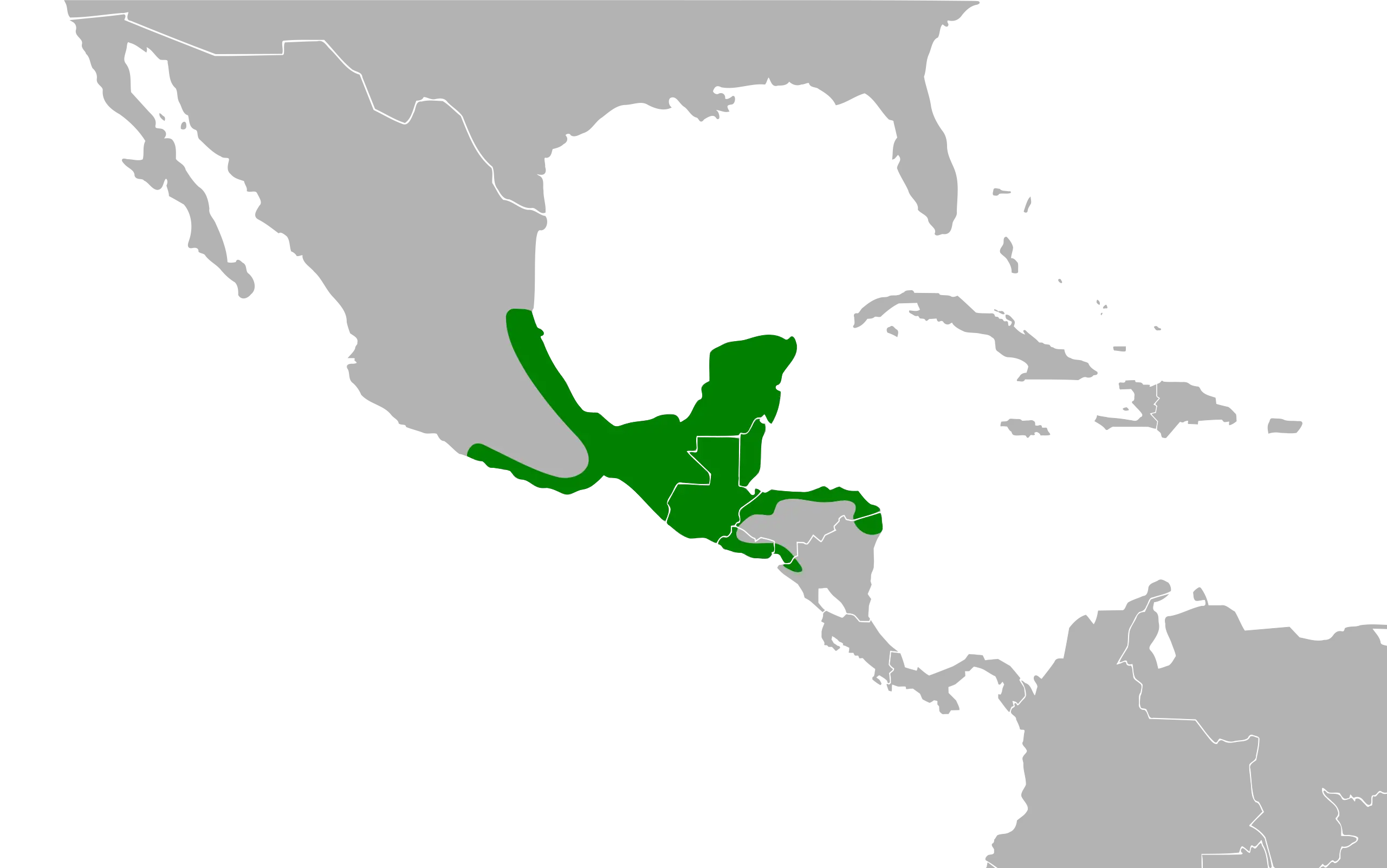 Râle roux carte des habitats