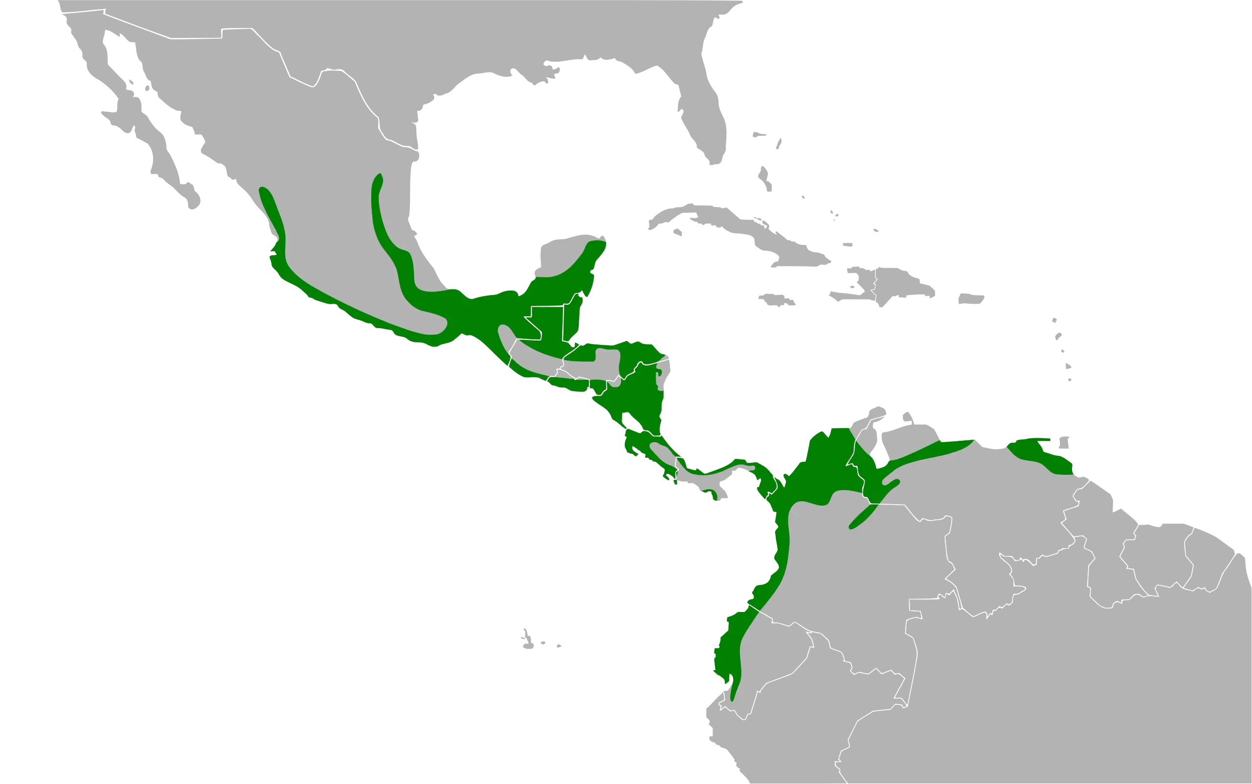 Пенелопа чубата - факти, дієта, ареал і фотографії на Animalia.bio