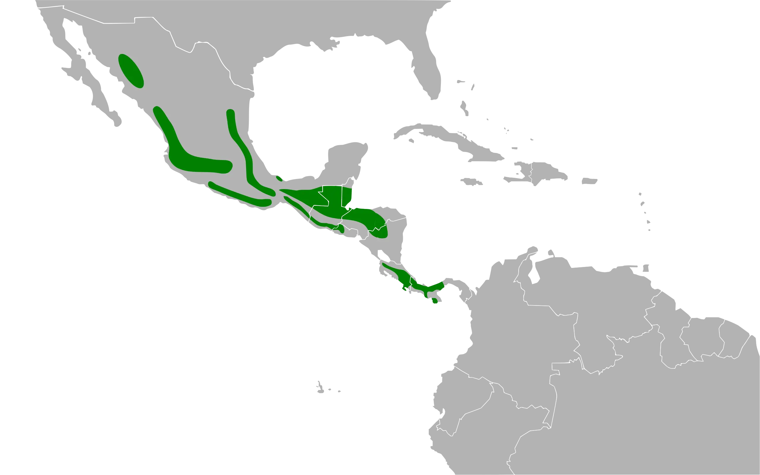 White-throated thrush habitat map