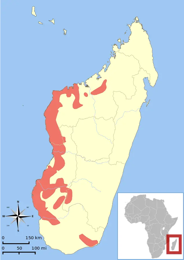 Gray Mouse Lemur habitat map