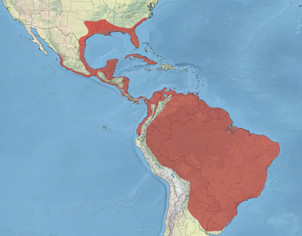 Змієшийка американська карта середовища проживання
