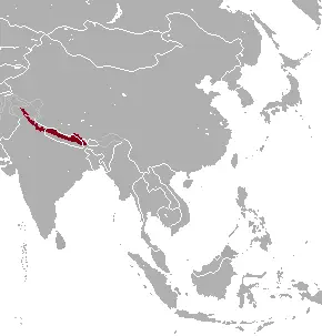 Himalayan Tahr habitat map