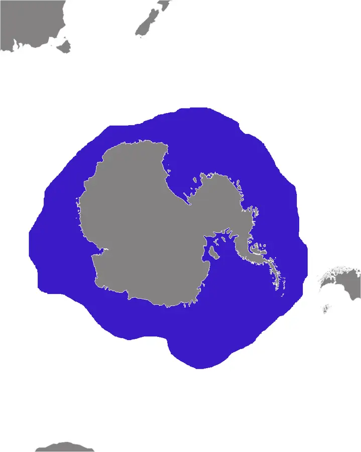 Тюлень-крабоїд карта середовища проживання