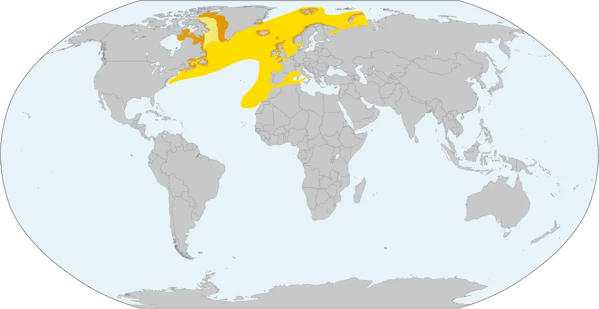 Іпатка атлантична карта середовища проживання