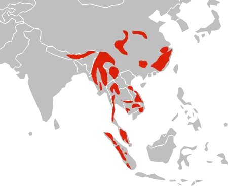 Катопума Темінка карта середовища проживання