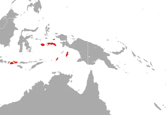 Pteropus melanopogon карта середовища проживання