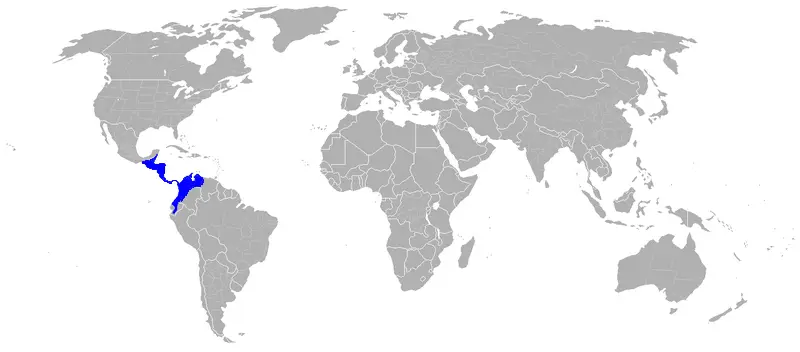 Keel-Billed Toucan habitat map