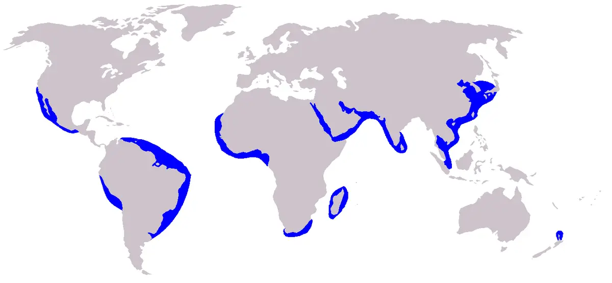 Long-Beaked Common Dolphin habitat map