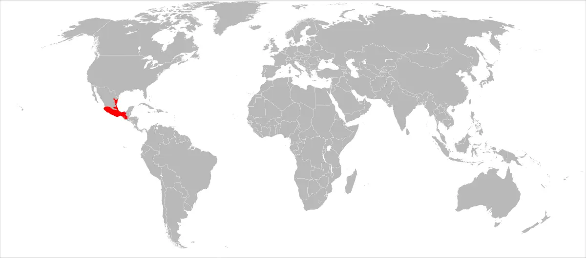 Sciurus aureogaster карта середовища проживання